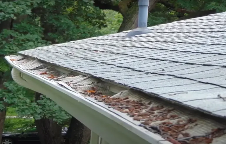 Leaf Removal Services