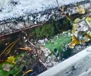 Seasonal Gutter Cleaning in Cuyahoga Falls OH