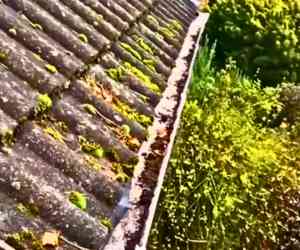 Standard Gutter Cleaning in Cuyahoga Falls OH
