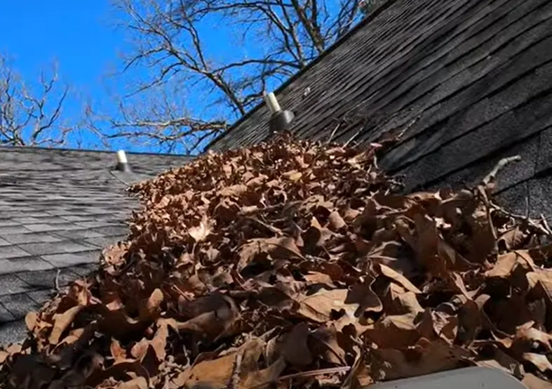 Clearing leaves and branches off a roof, gutter service for Norton, OH homes