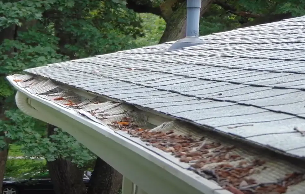 Leaf removal from clogged gutters, gutter service for Norton, OH homes